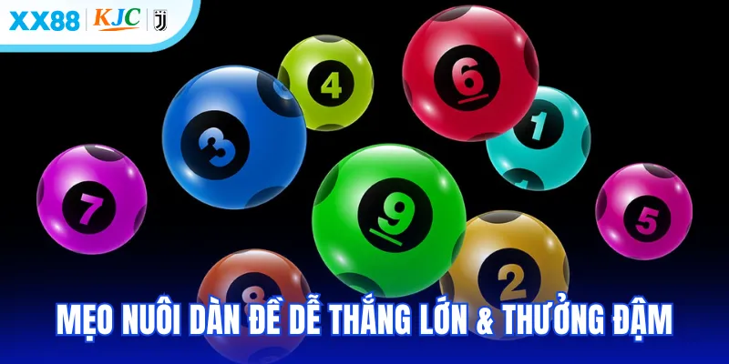 Mẹo nuôi dàn đề dễ thắng lớn & thưởng đậm
