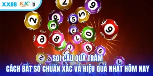 Soi Cầu Quả Trám - Cách Bắt Số Chuẩn Xác và Hiệu Quả Nhất Hôm Nay